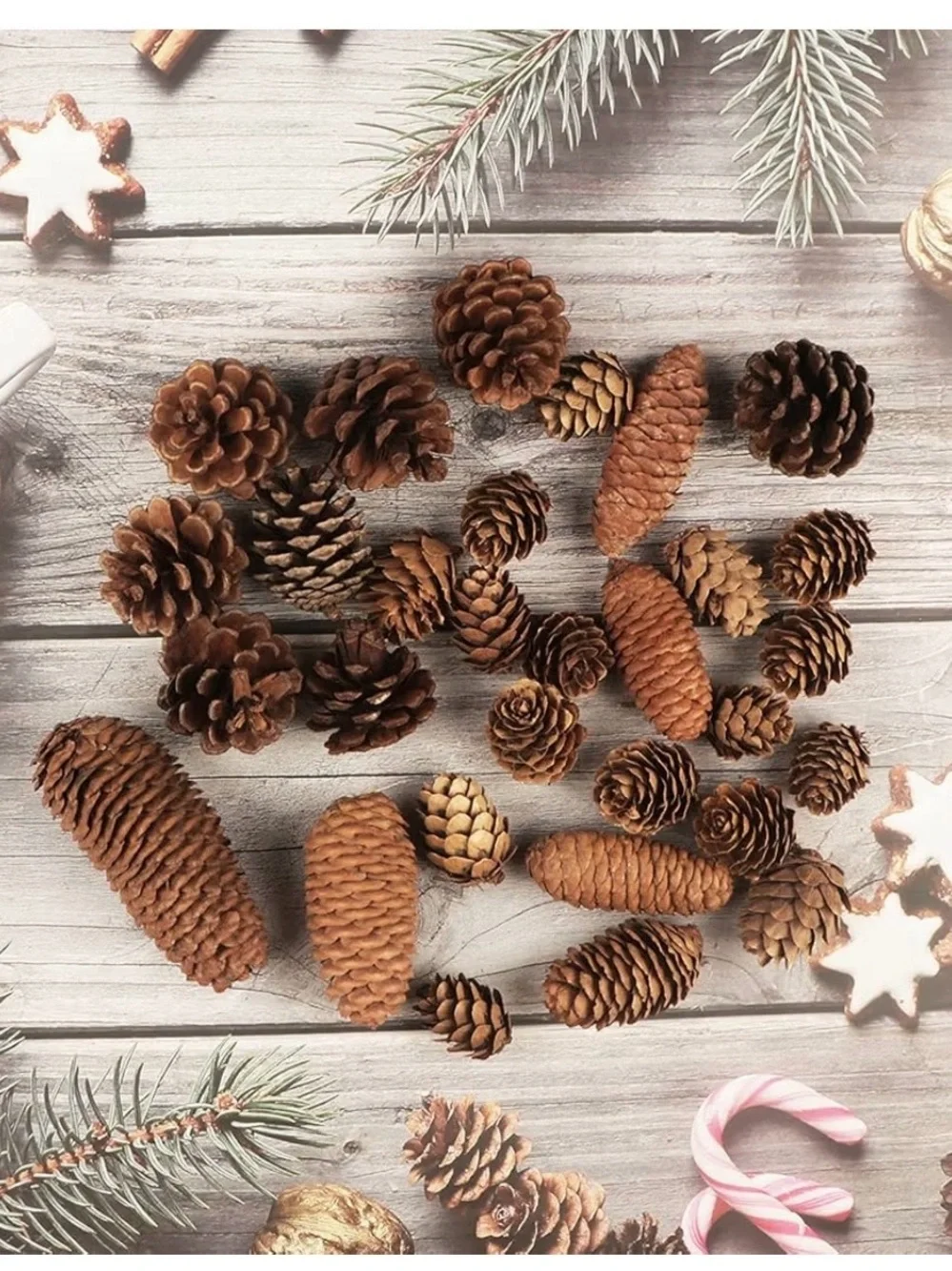 Natural Brown Pine Cone Mix for Home Holiday Decor